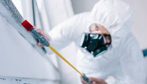 Best Commercial Pest Control  in Church Point, LA